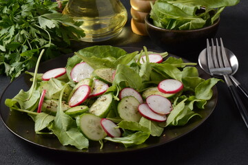Fresh vegetarian vegetable salad with radish, cucumber and arugula, healthy food.