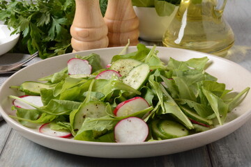 Fresh vegetarian vegetable salad with radish, cucumber and arugula, healthy food.