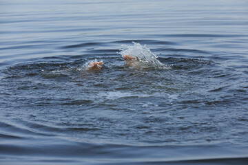 Fototapeta premium Drowning man reaching for help in sea, closeup