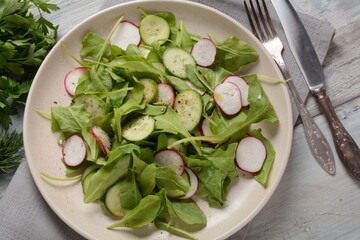 Fresh vegetarian vegetable salad with radish, cucumber and arugula, healthy food.