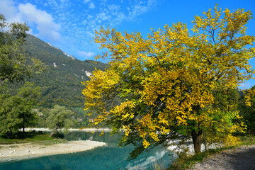 Lago di Tenno with its clear turquoise water and a yellow mulberry. Trentino, Italy.