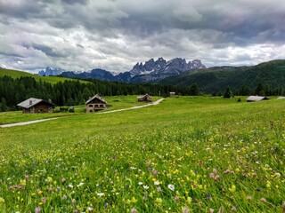 Fototapeta na wymiar alpine meadow in the mountains, The Dolomites, Fuchiade, Trentino-Alto Adige, Italy