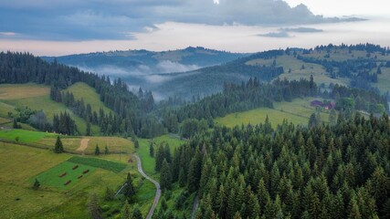 Fototapeta premium Forest road.