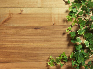 An Ivy plant on a table of hardwood