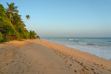 Ocean resort tropical beach, Sri Lanka, Koggala seaside