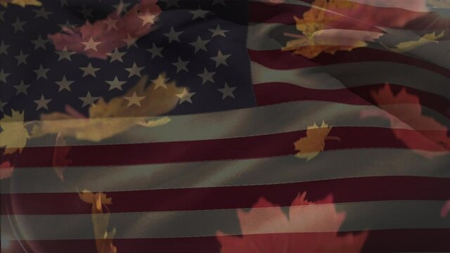 Animation of data processing over american flag and leaves falling - Powered by Adobe