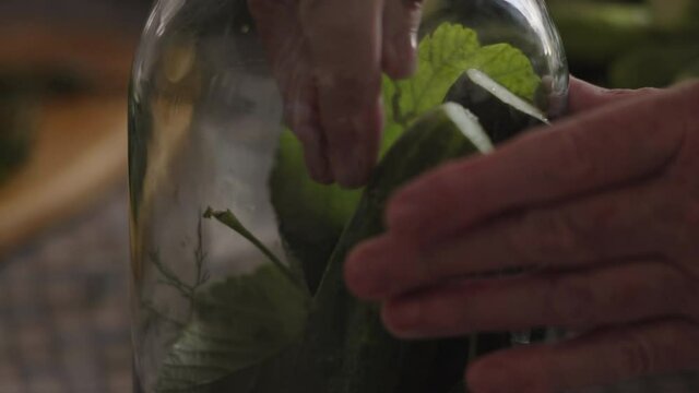Close-up, Hands of an Elderly Woman Put Fresh Cucumbers in a Glass Jar for Marinade Preparation
