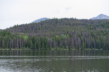 Obraz premium Pyramid Lake on a Cloudy Morning