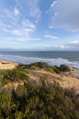 Fototapeta na wymiar unas vistas de la bella playa de Mazagon, situada en la provincia de Huelva,España.Con sus acantilados,pinos,dunas ,vegetacion verde y un cielo con nubes. Atardeceres preciosos