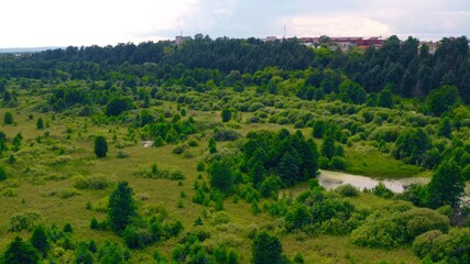 Obraz premium ЯВЛЯЕТЕСЬ РЕЗИДЕНТОМ СТРАНЫ, ИМЕЮЩЕЙ НАЛОГОВОЕ СОГЛАШЕНИЕ С США