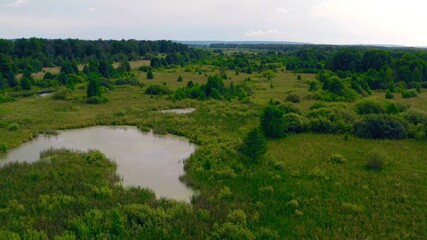 ЯВЛЯЕТЕСЬ РЕЗИДЕНТОМ СТРАНЫ, ИМЕЮЩЕЙ НАЛОГОВОЕ СОГЛАШЕНИЕ С США