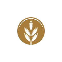 Luxury Golden Grain Weath / Rice Logo Design Vector