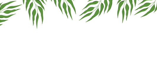 Fototapeta na wymiar Floral web banner with drawn color exotic leaves. Nature concept design. Modern floral compositions with summer branches. Vector illustration on the theme of ecology, natura, environment. Copy space