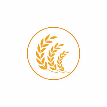 Luxury Golden Grain Weath / Rice Logo Design Vector