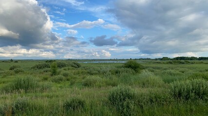 Summer green swamps blue sky covered with clouds in the depths you can see a small lake
