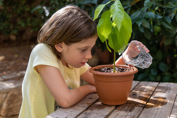Little girl holding a transparent glass with water and watering an avocado plant.