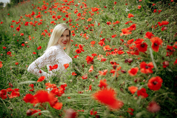beautiful girl in a field with red poppies in a transparent bodysuit