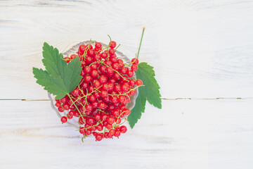 Ripe berry garden red currant is collected in summer from a bush in a glass plate on a white...