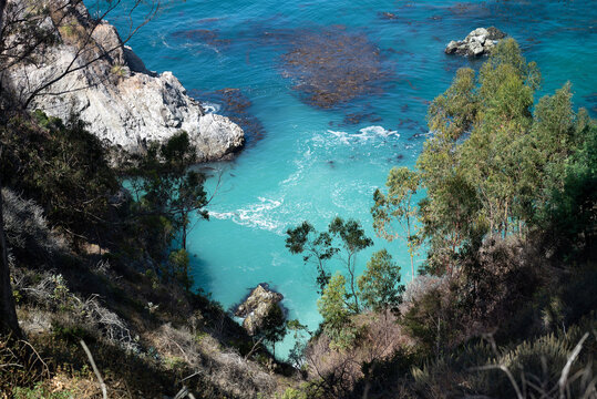 Pacific Coast Highway stop at cove of aqua water and cliff, trees, gorgeous © joanncampbell