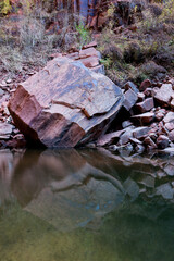 Boulder Reflection in Zion