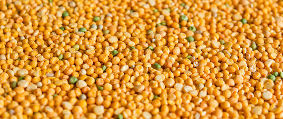 Dry split green and yellow peas texture background. Great for soups.