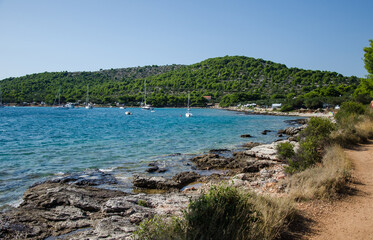 Mittelmeerküste der Insel Murter in Kroatien