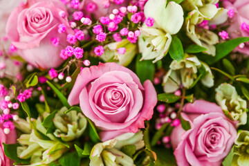 wallpaper with flowers roses close up. backdrop with buds of roses