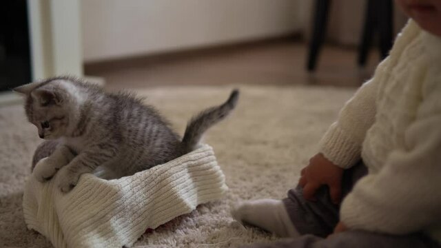 baby playing with cat. tomcat on carpet near burning fireplace at home comfort. striped kitten play with ball of thread. kitty run looking at camera. happy adorable pet, childhood, wild nature concept