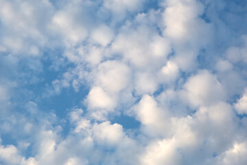 White cumulus clouds in a blue sky. Backgrounds with a pattern of high-beam clouds. Weather, seasonality, ecology, clear sky.