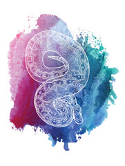 Royal python snake. Doodling coloring, meditative coloring. Patterns, dots, stripes. Cute animals. - 446859552