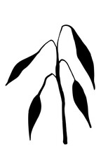 Vector image of a branch with large sharp leaves. Black on a white background. Silhouettes. Minimalism. Hand drawing