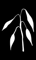 Vector image of a branch with large sharp leaves. White on a black background. Silhouettes. Minimalism. Hand drawing