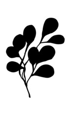 Vector image of a branch of a plant with large round leaves. Black on a white background. Silhouettes. Minimalism. Hand drawing