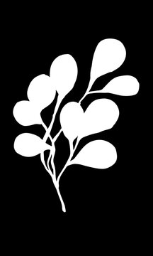 Vector image of a branch of a plant with large round leaves. White on a black background. Silhouettes. Minimalism. Hand drawing