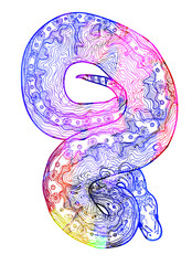 Royal python snake. Doodling coloring, meditative coloring. Patterns, dots, stripes. Cute animals. - 446860366