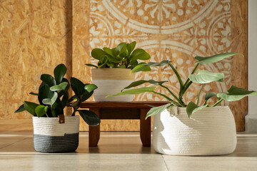 Decoration with indoor plants