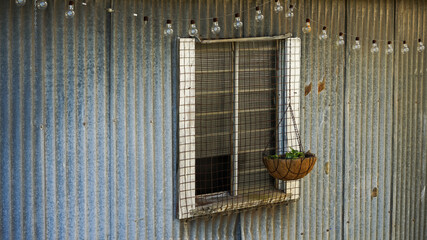 Louvred glass window and hanging plant in an old corrugated iron wall with a string of light bulbs above