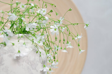 Trendy still life with gypsophila flowers in the vase. Minimalistic background mock up design. 