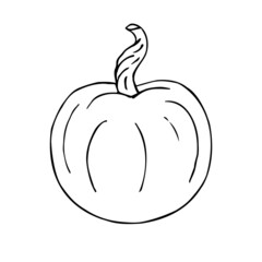 Vector hand drawn doodle sketch pumpkin isolated on white background