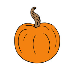 Vector hand drawn doodle sketch colored pumpkin isolated on white background