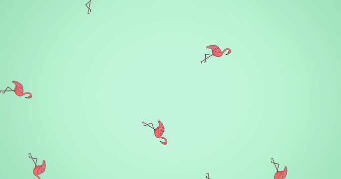 Animation of flamingos moving on green background