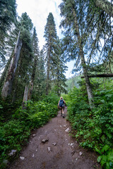 Female hiker walks along the Avalanche Lake hiking trail in Glacier National Park through the forest