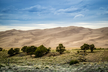 Sand Dunes in Great Sand Dunes National Park and Preserve, Colorado