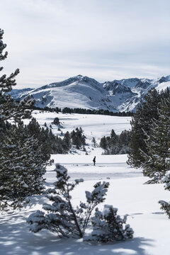 A skier glides through a landscape