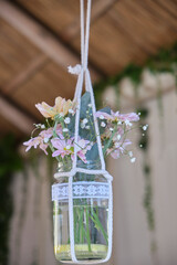 pastel colored daisies and eucalyptus leaves