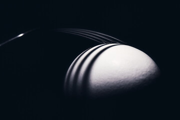 Artistic egg whit a fork