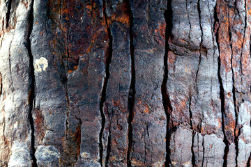 Rusty metal textures for background