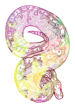 Royal python snake.  Meditative coloring of antistress. Arrows, strips, scales, lines. Logo, print on the T-shirt. Children's painting, drawing by hand. 