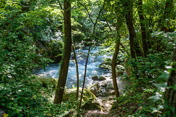 river in the woods coming from the waterfall of the marmore