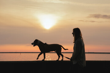 Silhouette of a woman walking with dog along the quay at sunset